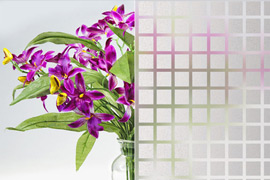 Modern Window Film Decoration in Cape Town